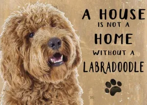 A House is not a Home without a Labradoodle Yellow
