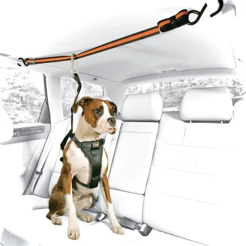 Auto Zip Line with Leash & Tether - Black-Orange