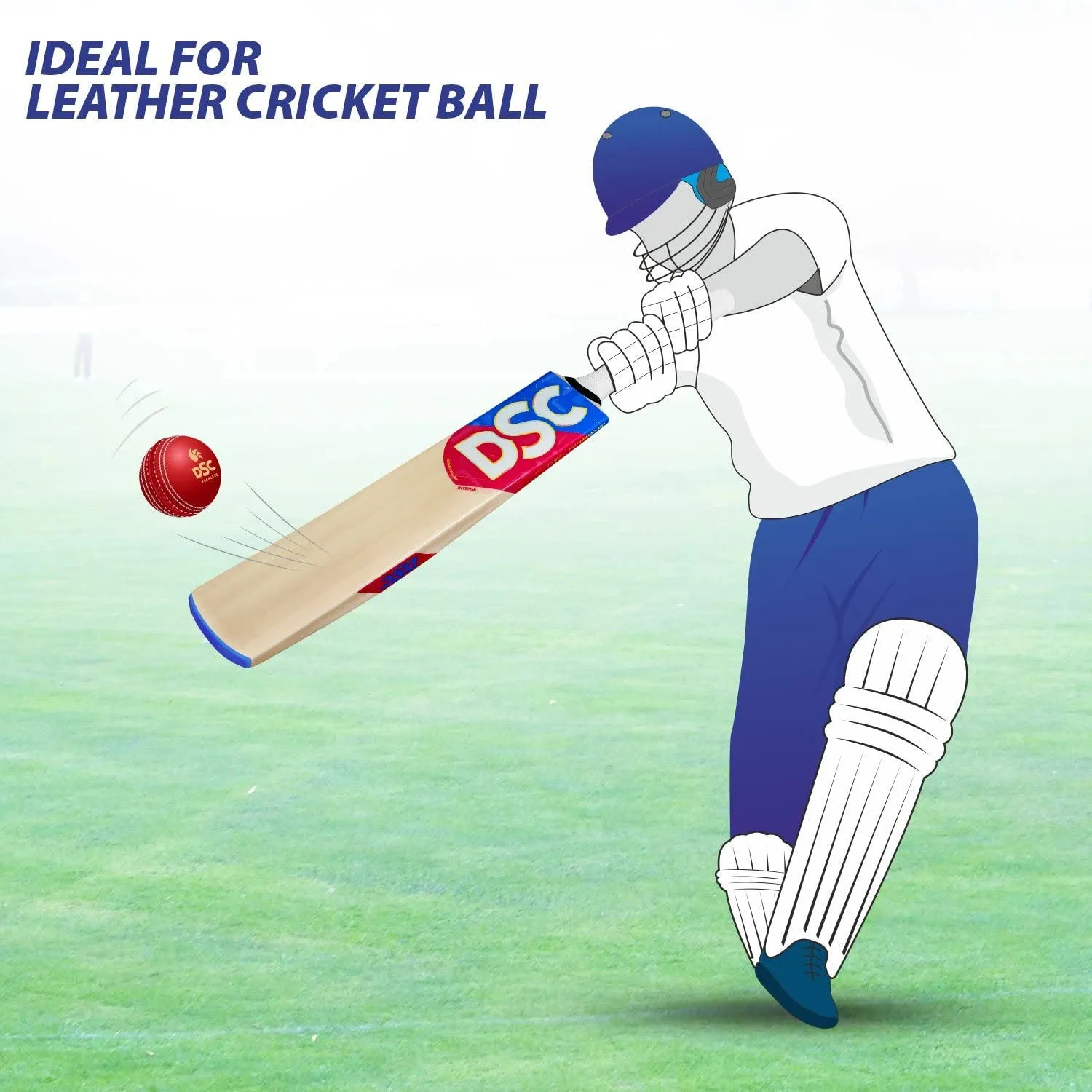 DSC Intense Zeal Kashmir Willow Cricket Bat