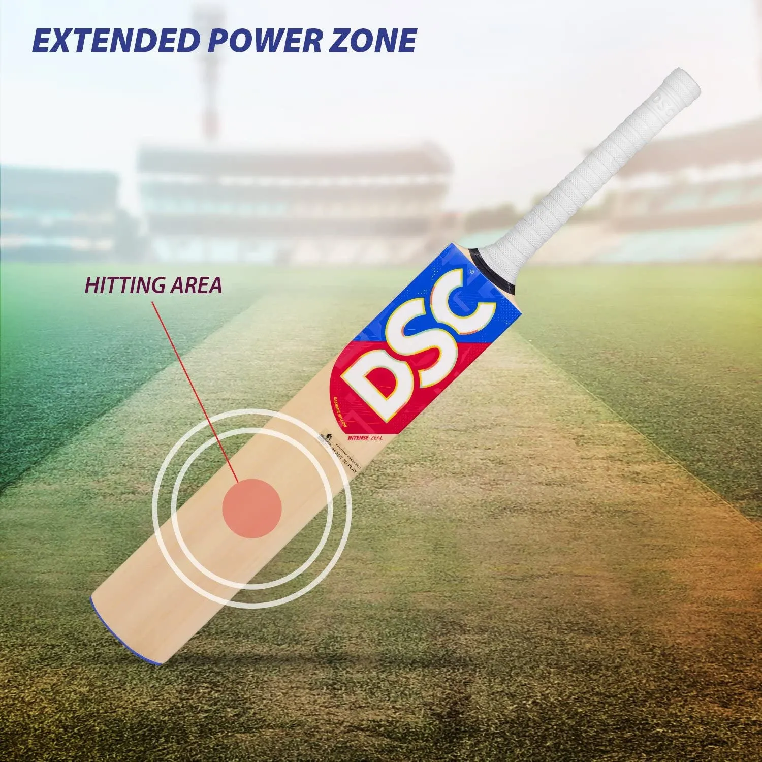 DSC Intense Zeal Kashmir Willow Cricket Bat