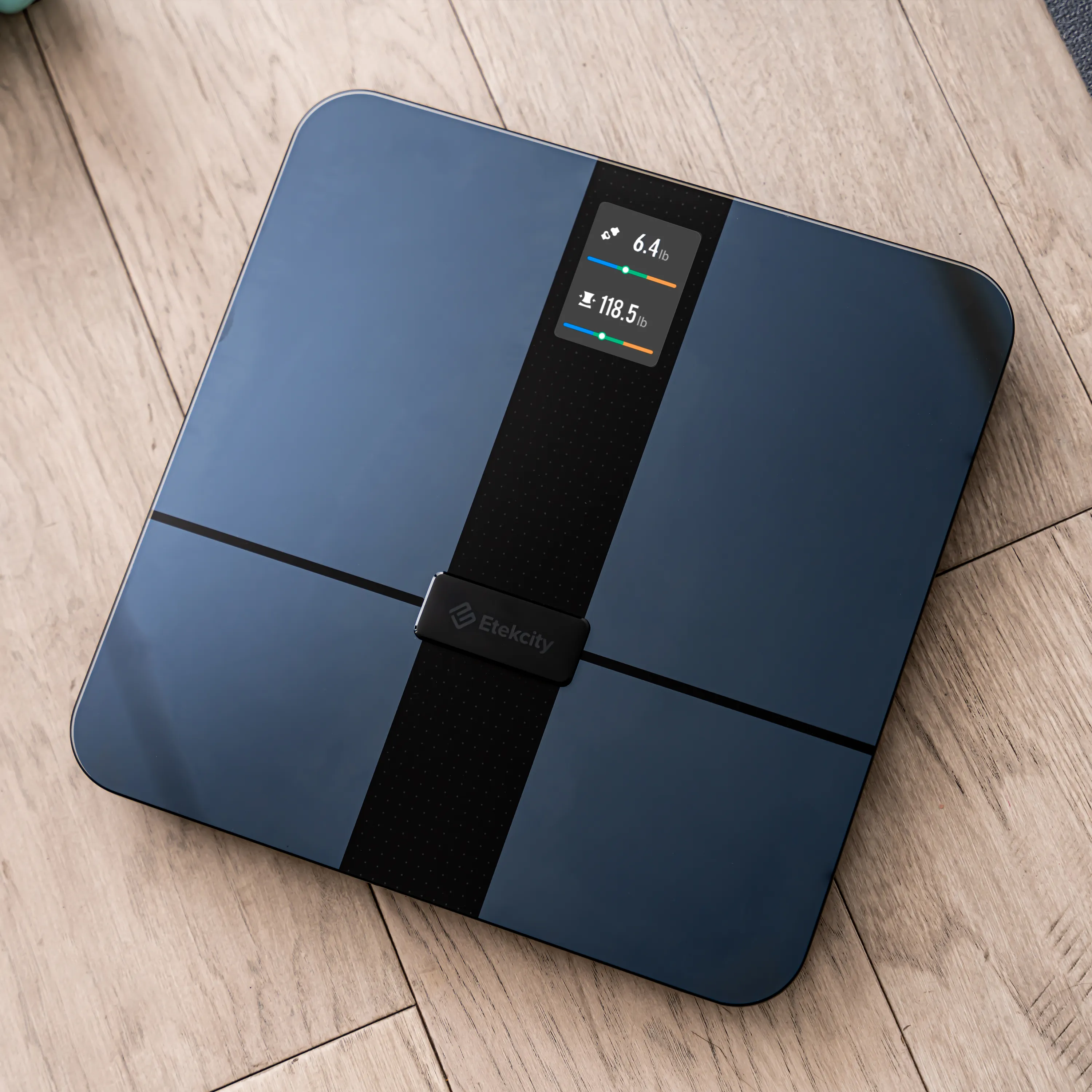 HR Smart Fitness Scale