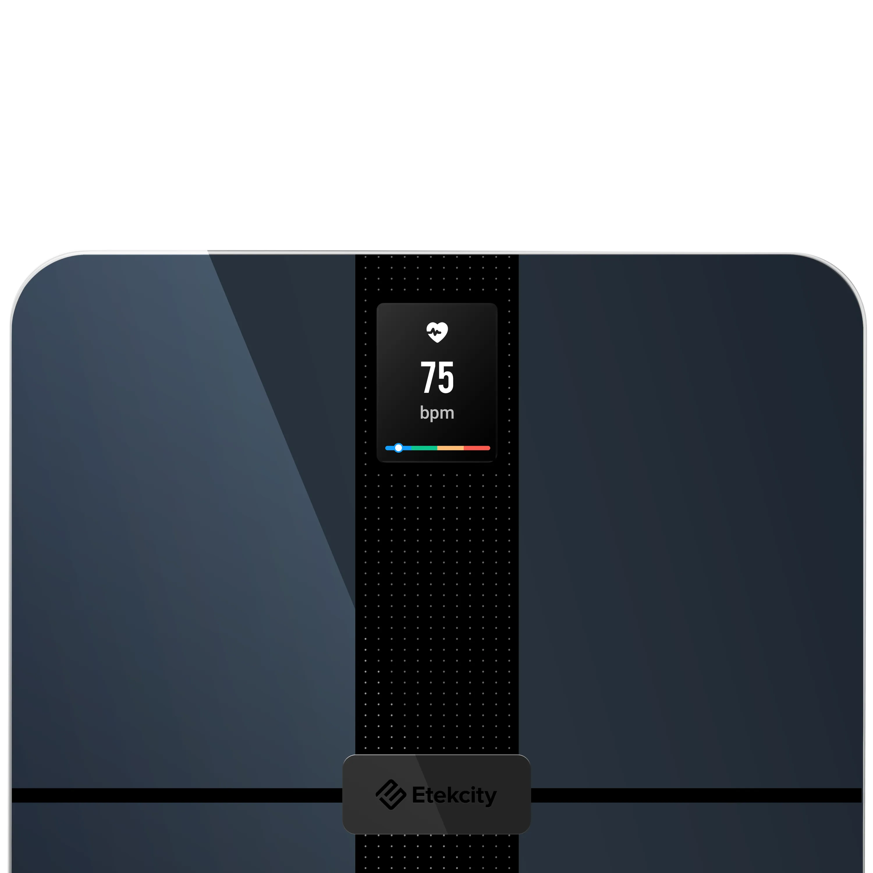HR Smart Fitness Scale