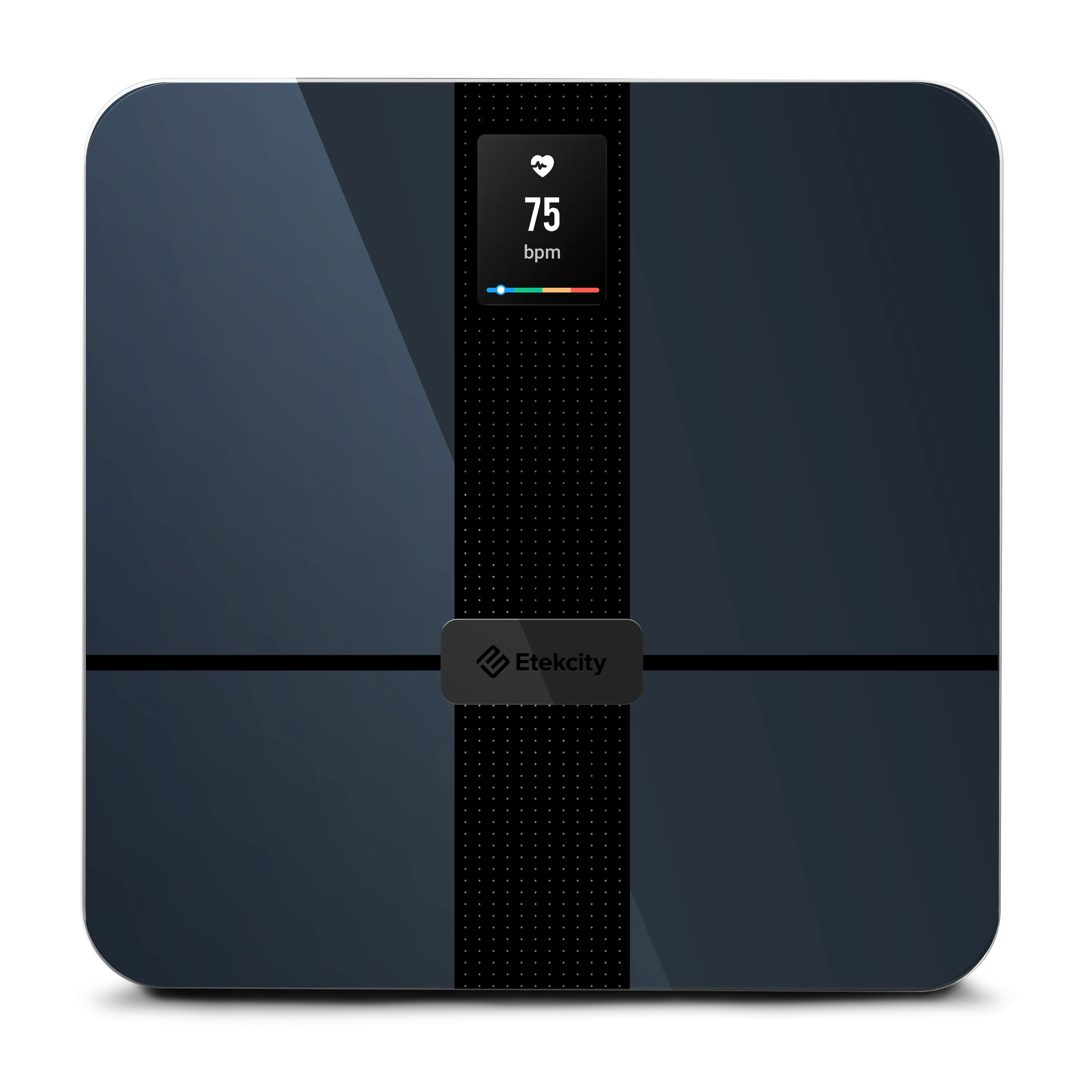 HR Smart Fitness Scale
