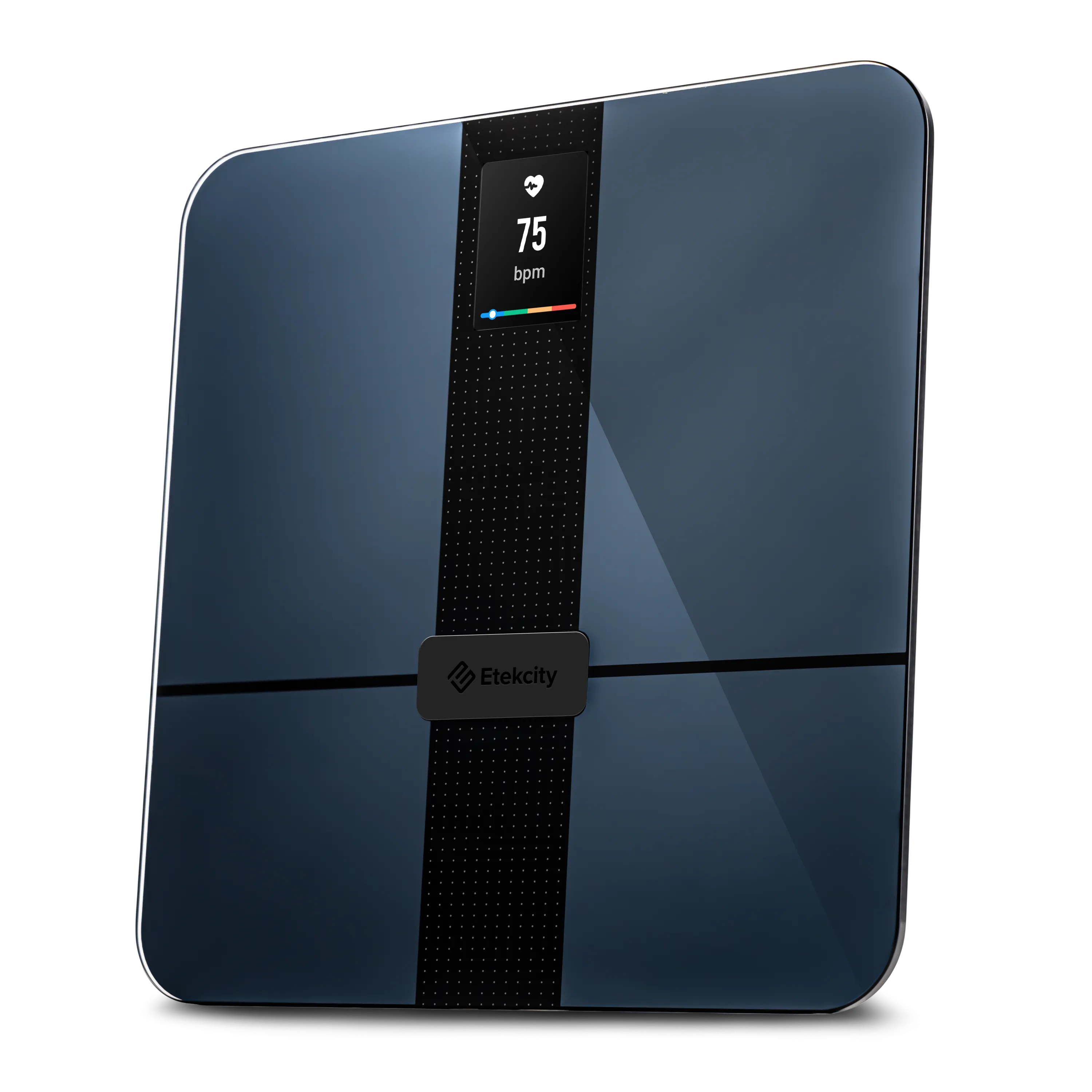 HR Smart Fitness Scale