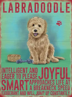 Labradoodle Yellow Sign
