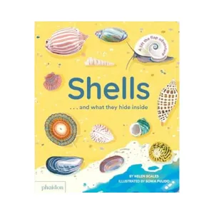 Shells... And What They Hide Inside