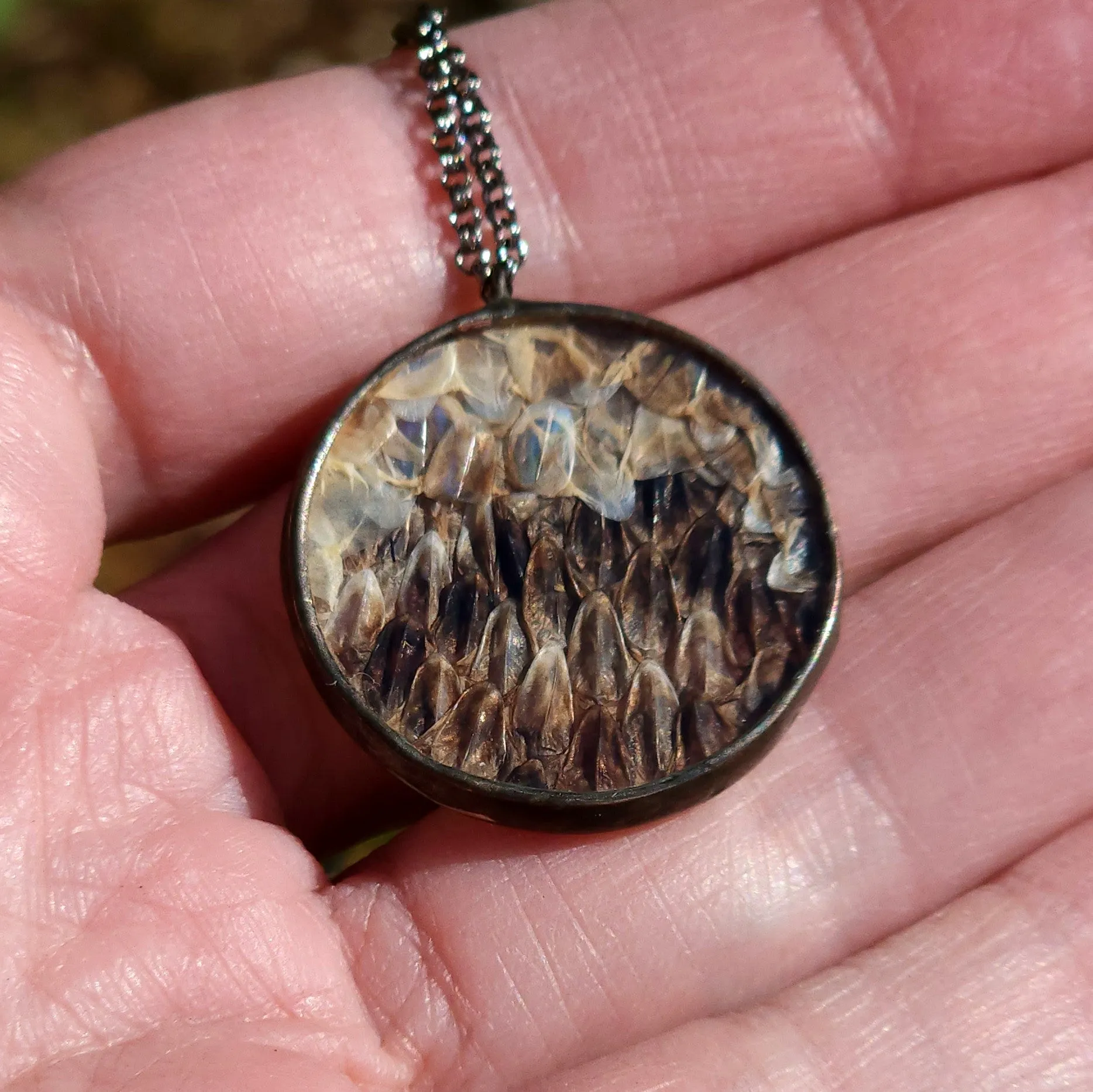 Snakeshed Scale Rondure Necklace